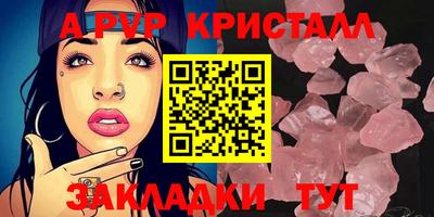 не бодяженный Кингисепп