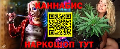 стафф Кимры