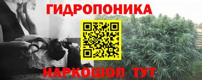 гидропоника Кинель