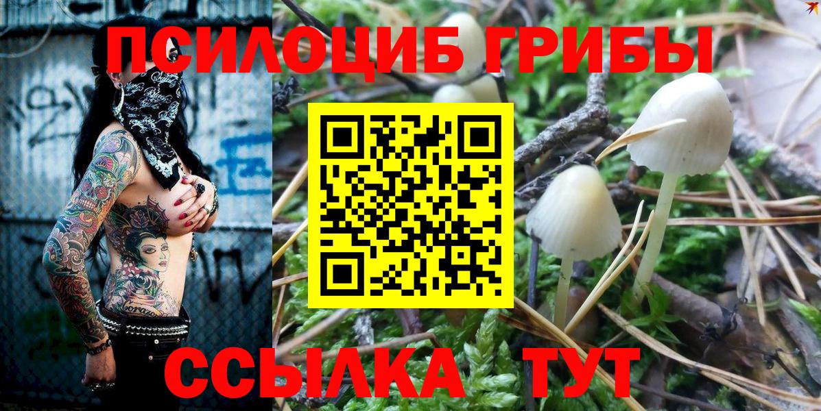 Псилоцибиновые грибы мицелий  Вход с VPN  Балашов 